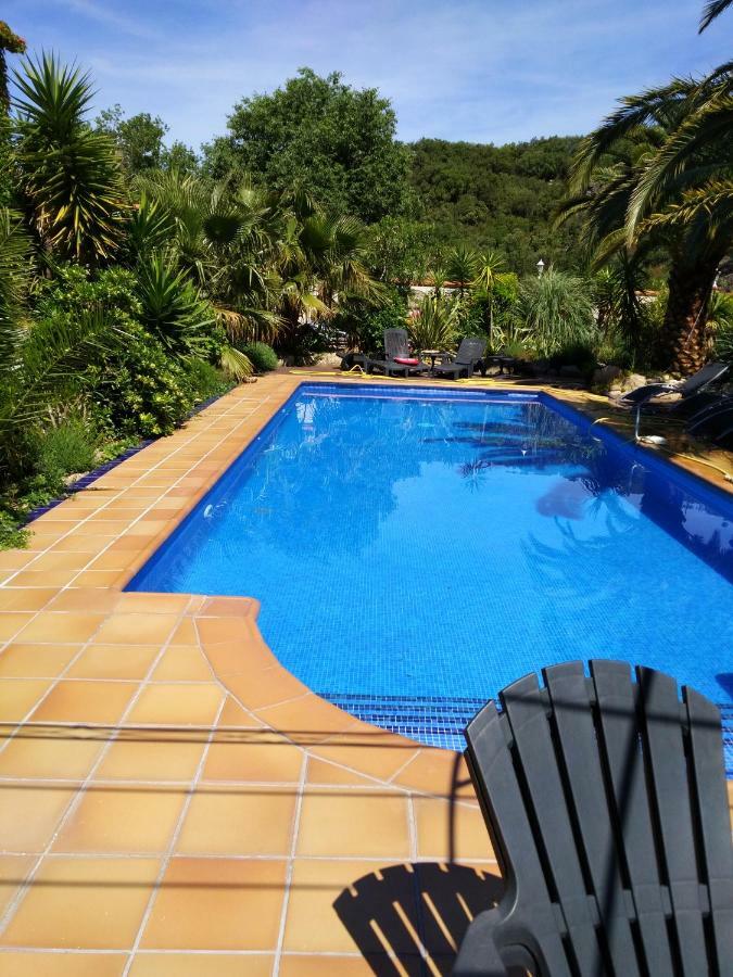 Apartment De La Rasclose *